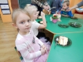 DSCN4206